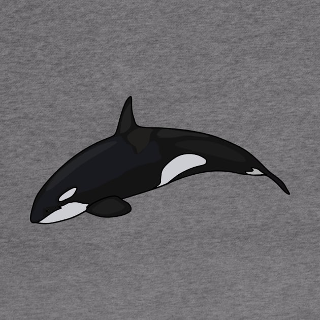 Killer whale cartoon illustration by Miss Cartoon